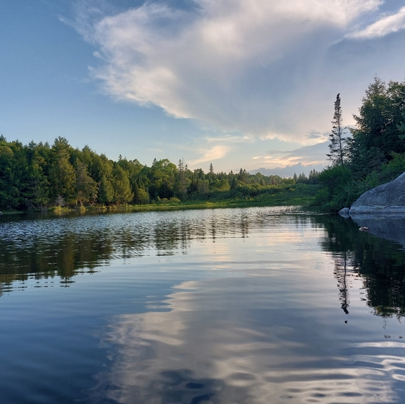 Meet your Posher, Kimberly - Picture 2 of 2